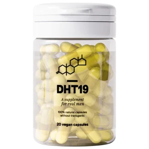 DHT19