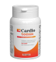 CARDIOTONUS