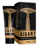 Gigant
